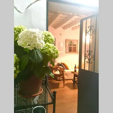 La Puerta Azul *