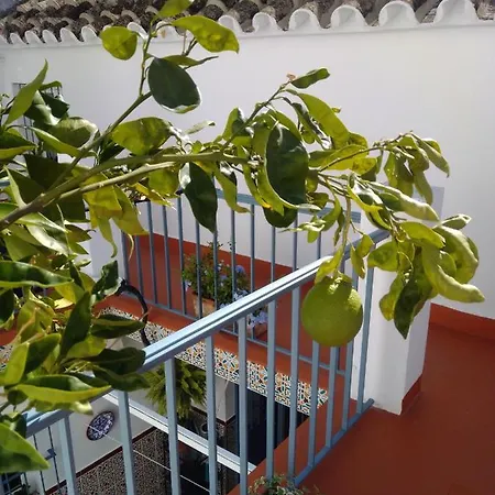 La Puerta Azul Bornos