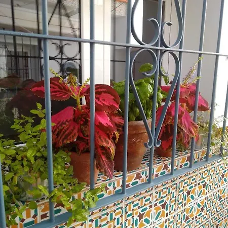 La Puerta Azul Сasa de vacaciones *