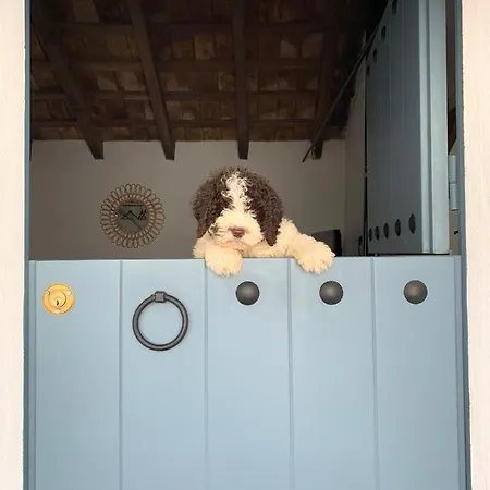 Hébergement de vacances La Puerta Azul Bornos
